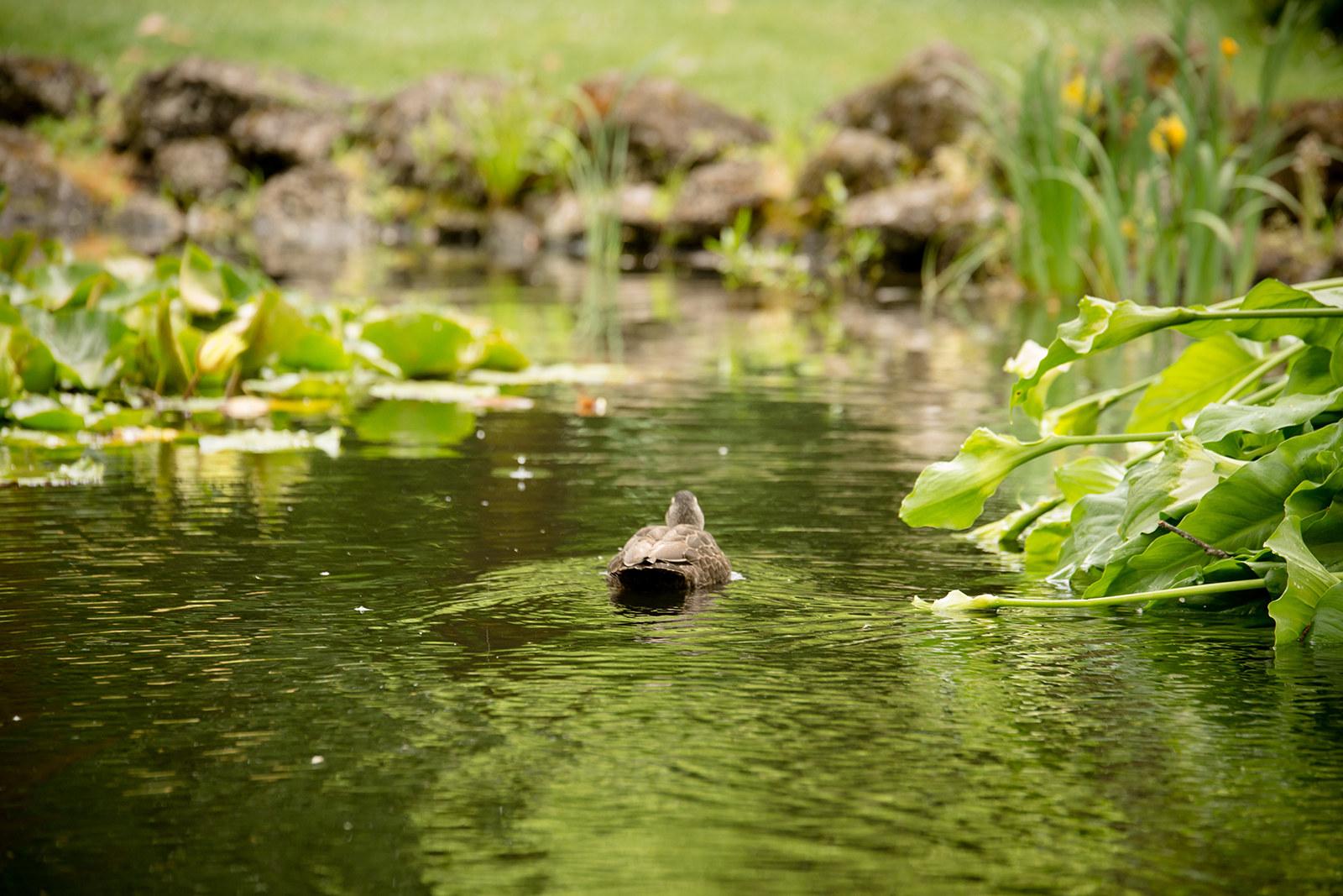 Botanic Gardens
