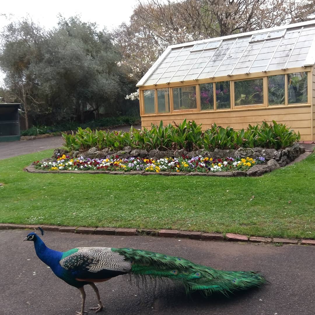 Hamilton Botanic Gardens