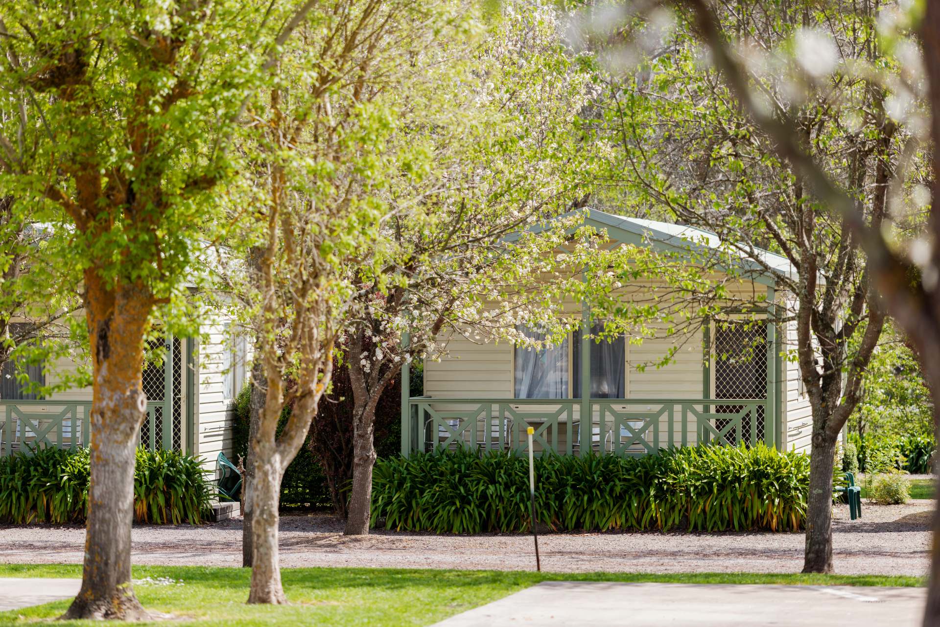 Superior Family Cabin
